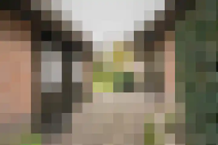 Schoutlaan 1 Asperen thumbnail 49