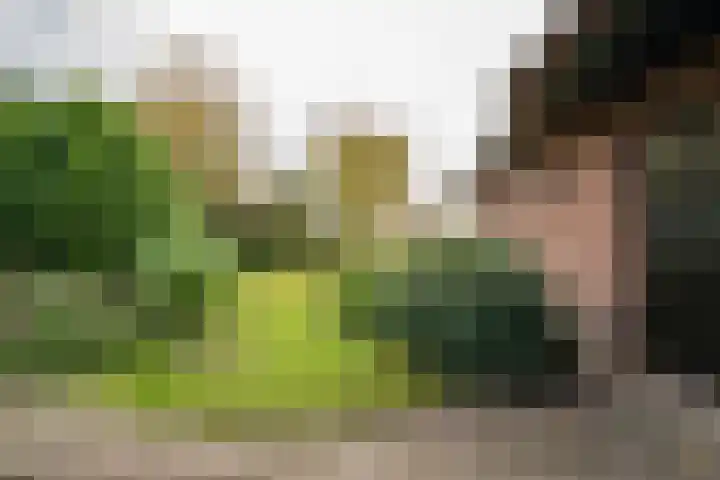 Schoutlaan 1 Asperen thumbnail 52
