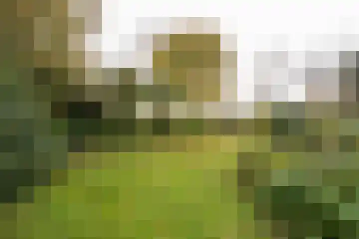 Schoutlaan 1 Asperen thumbnail 53