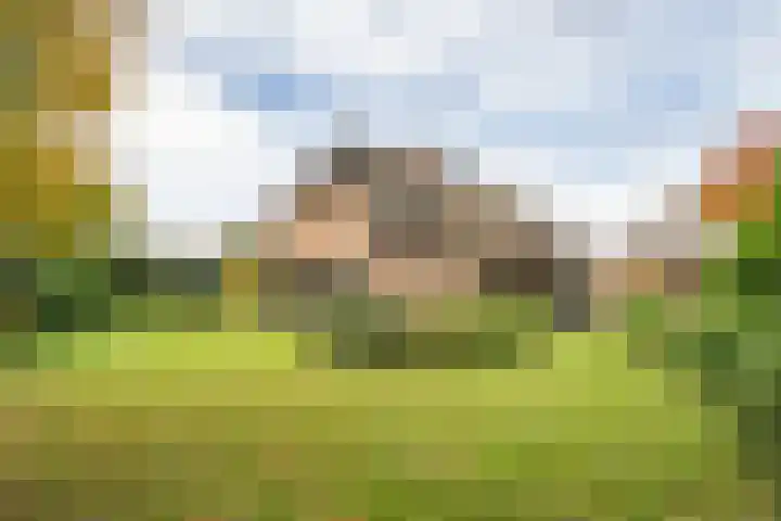 Schoutlaan 1 Asperen thumbnail 54