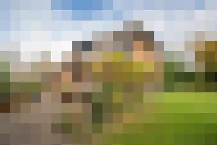 Schoutlaan 1 Asperen thumbnail 56