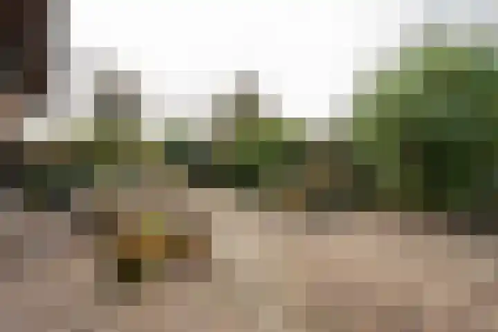 Schoutlaan 1 Asperen thumbnail 60