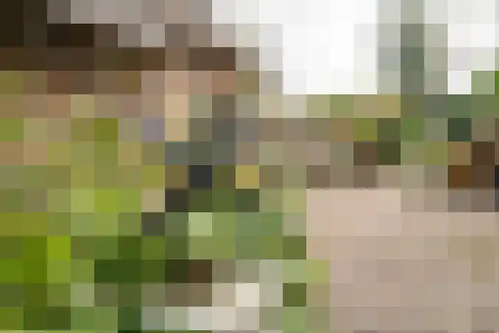 Schoutlaan 1 Asperen thumbnail 61