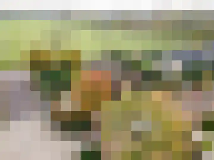 Schoutlaan 1 Asperen thumbnail 66