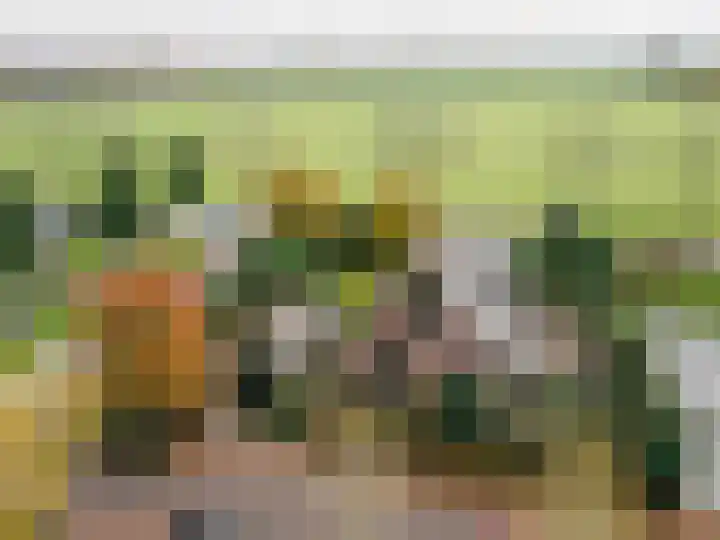 Schoutlaan 1 Asperen thumbnail 67