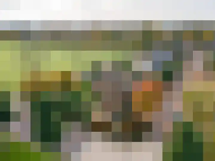 Schoutlaan 1 Asperen thumbnail 68
