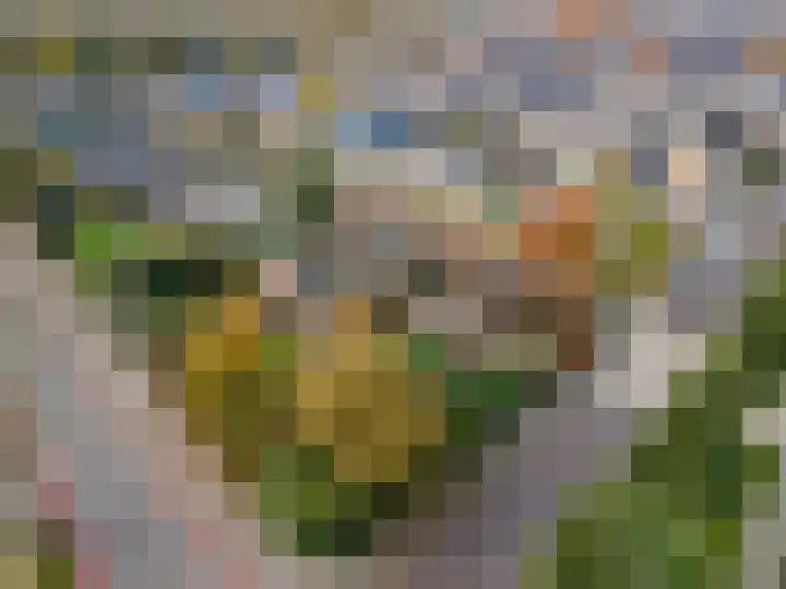 Schoutlaan 1 Asperen thumbnail 69