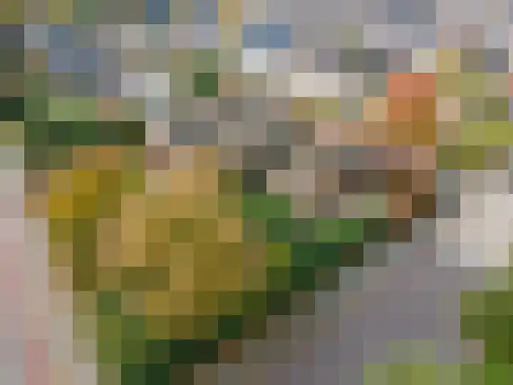 Schoutlaan 1 Asperen thumbnail 71
