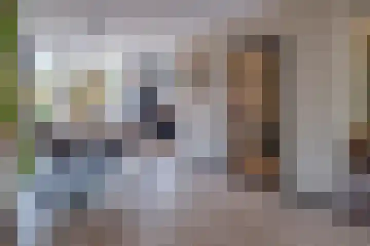 Schoutlaan 20 Susteren thumbnail 10