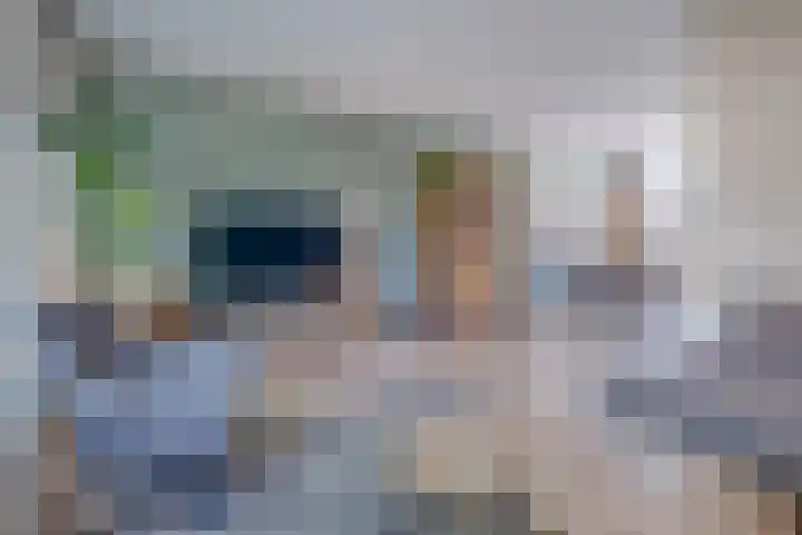 Schoutlaan 20 Susteren thumbnail 13