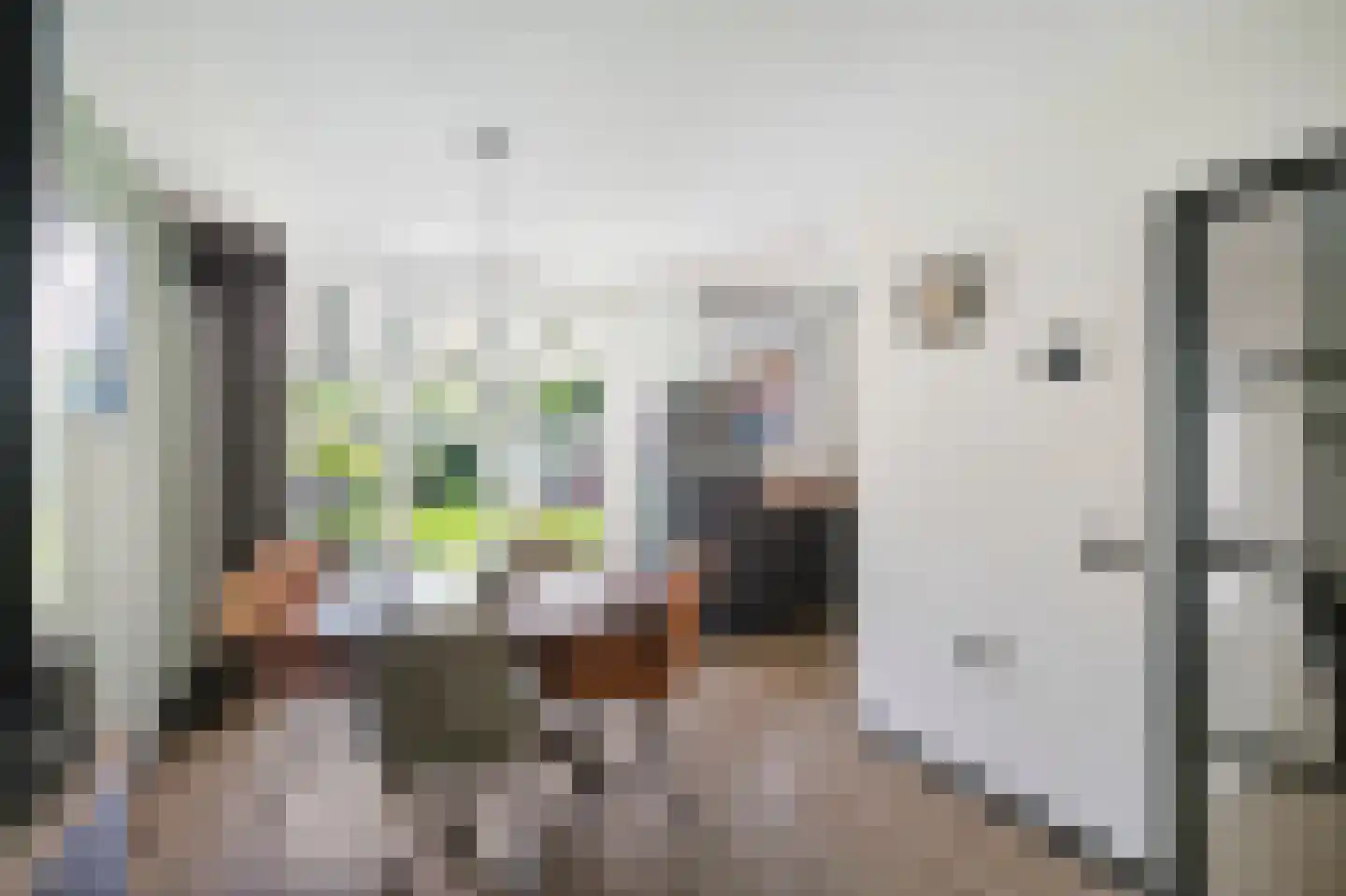 Schoutlaan 20 Susteren thumbnail 17
