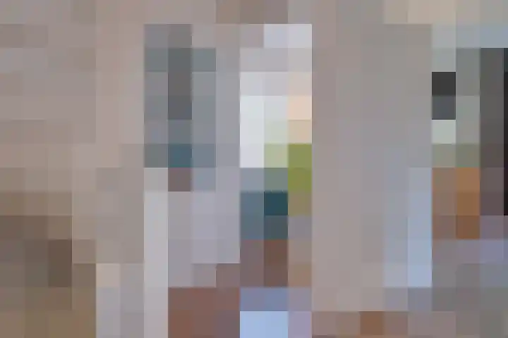 Schoutlaan 20 Susteren thumbnail 22