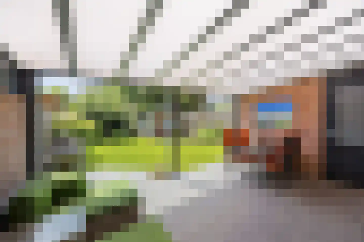 Schoutlaan 20 Susteren thumbnail 24