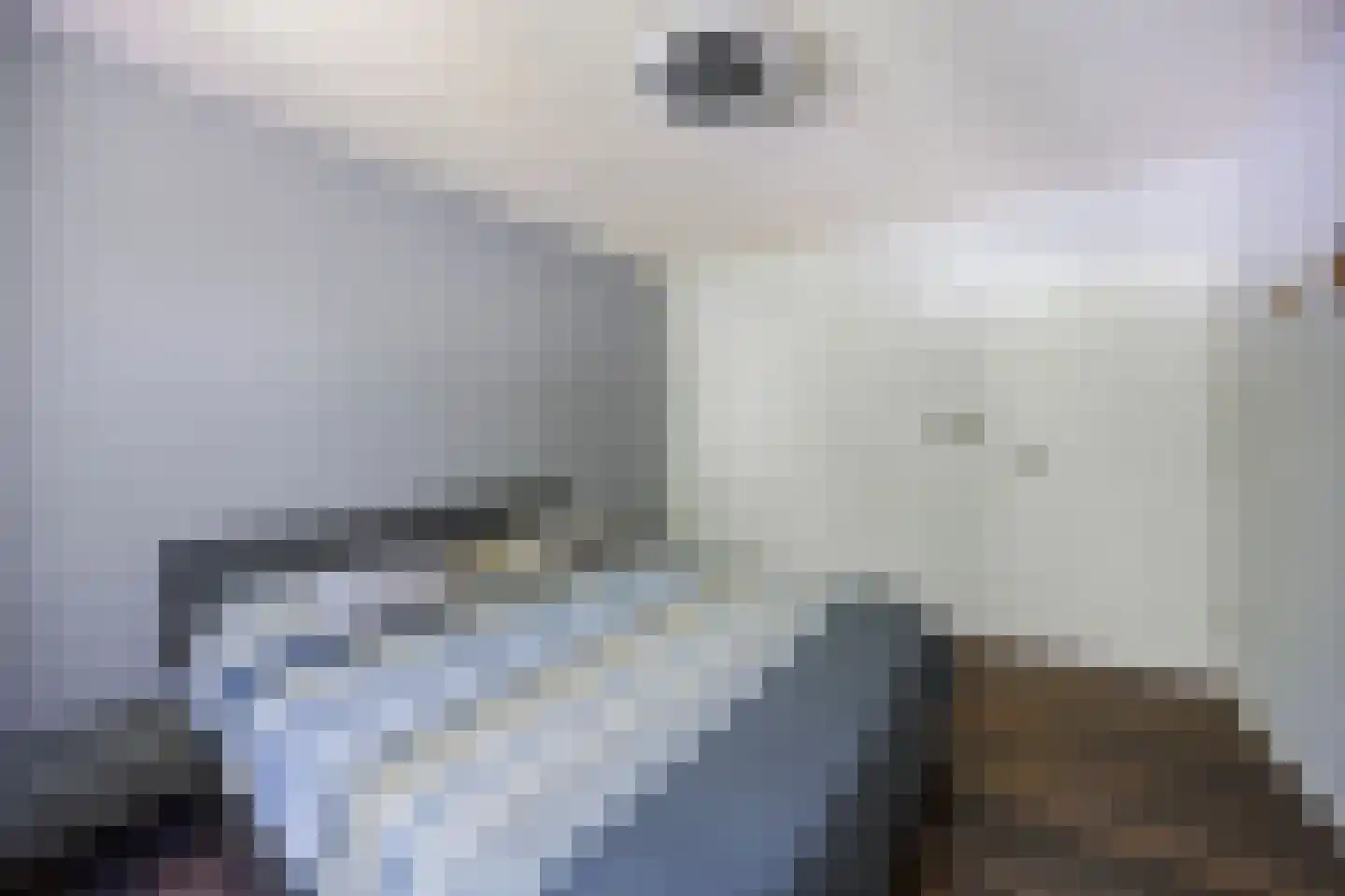Schoutlaan 20 Susteren thumbnail 27