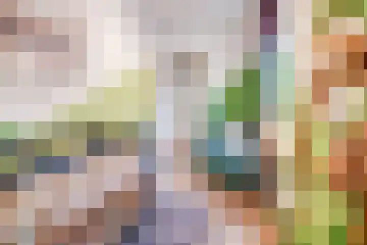 Schoutlaan 20 Susteren thumbnail 27