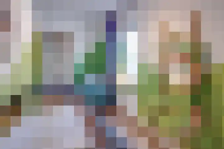 Schoutlaan 20 Susteren thumbnail 28