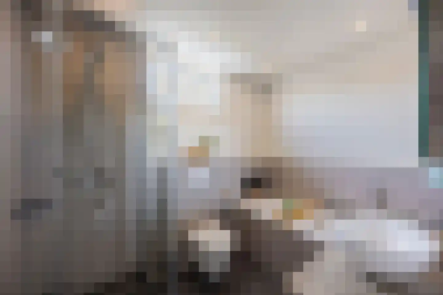 Schoutlaan 20 Susteren thumbnail 33
