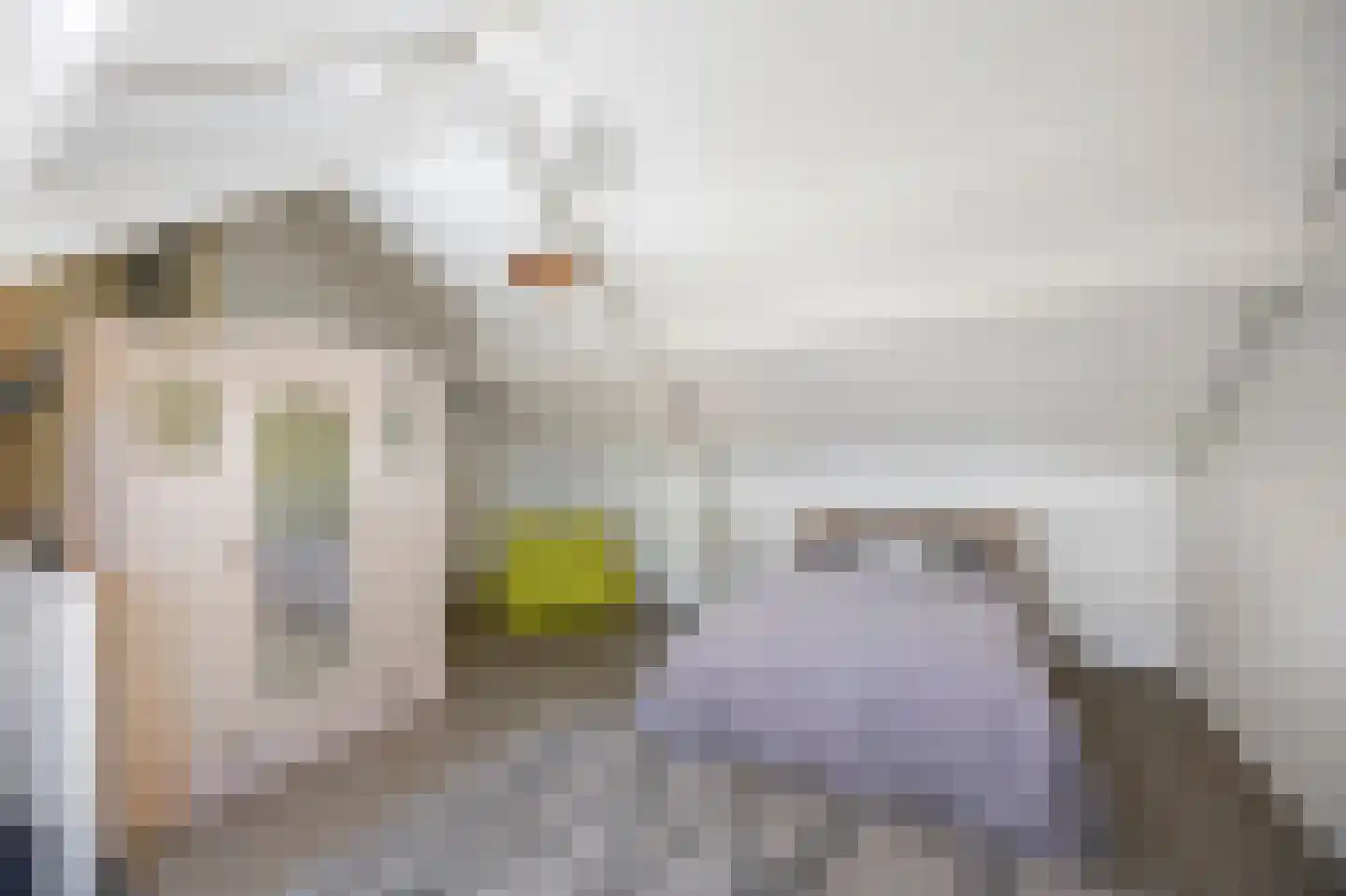 Schoutlaan 20 Susteren thumbnail 39