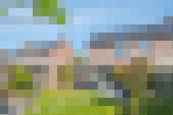 Schoutlaan 20 Susteren thumbnail 45