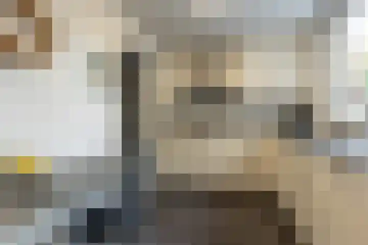 Schoutlaan 34 Susteren thumbnail 15