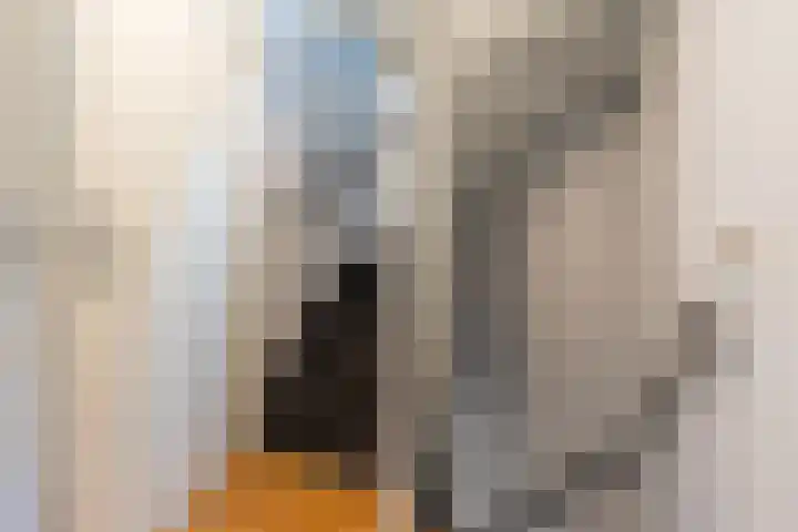 Schoutlaan 34 Susteren thumbnail 23