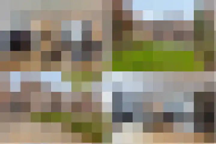Schoutlaan 34 Susteren thumbnail 4