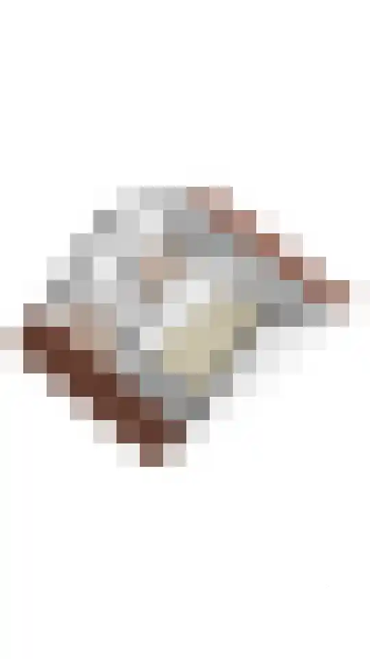 Schoutlaan 34 Susteren thumbnail 41