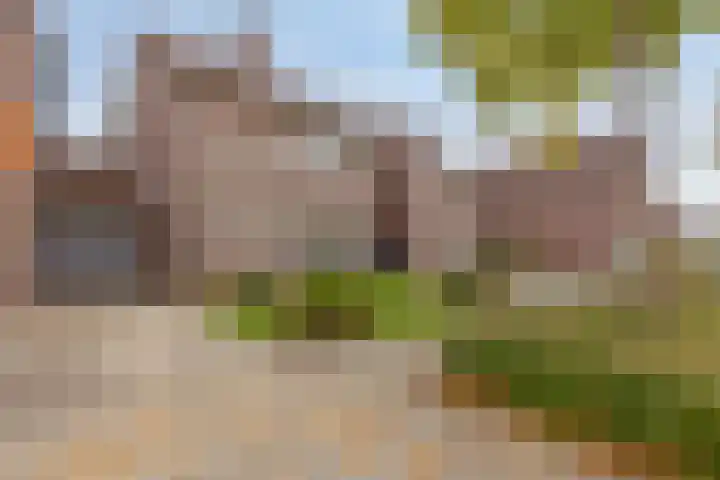 Schoutlaan 34 Susteren thumbnail 6