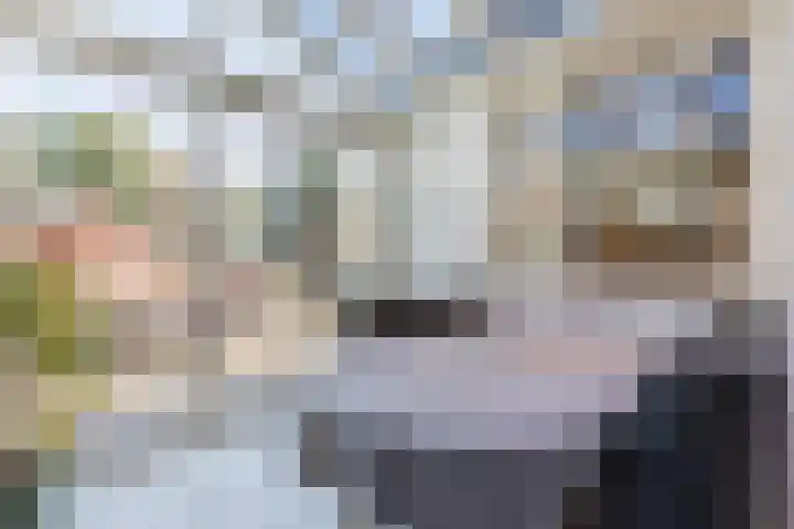 Schoutlaan 38 Susteren thumbnail 21
