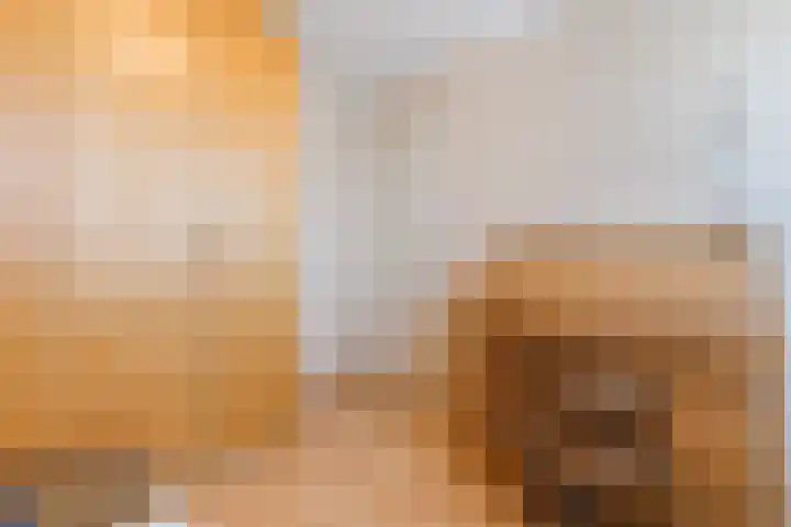 Schoutlaan 38 Susteren thumbnail 32