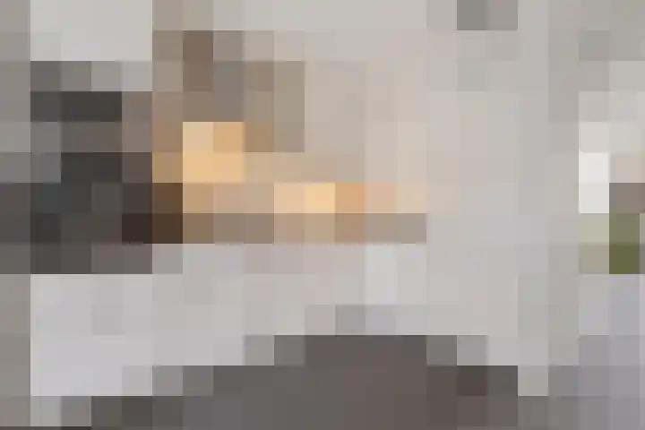 Schoutlaan 83 Susteren thumbnail 15