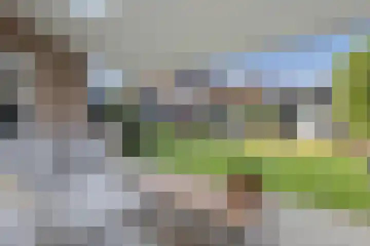 Schoutlaan 83 Susteren thumbnail 32
