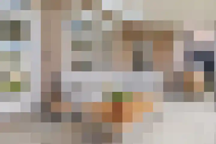 Schoutlaan 83 Susteren thumbnail 33