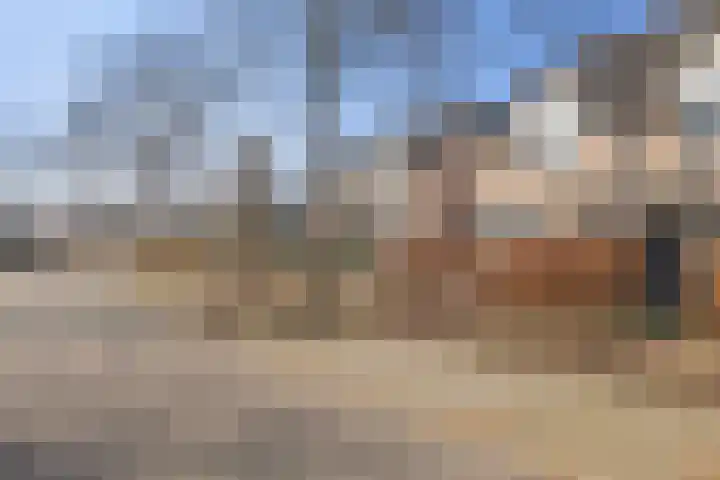 Schoutlaan 83 Susteren thumbnail 40