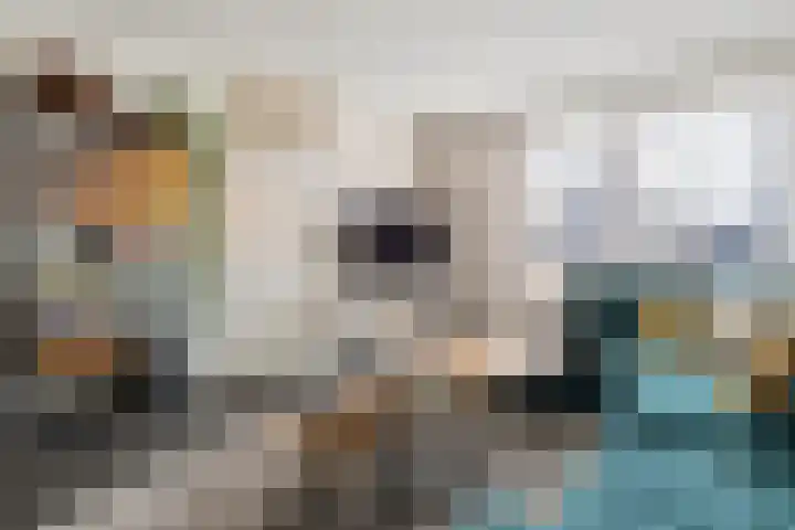 Schoutlaan 83 Susteren thumbnail 8