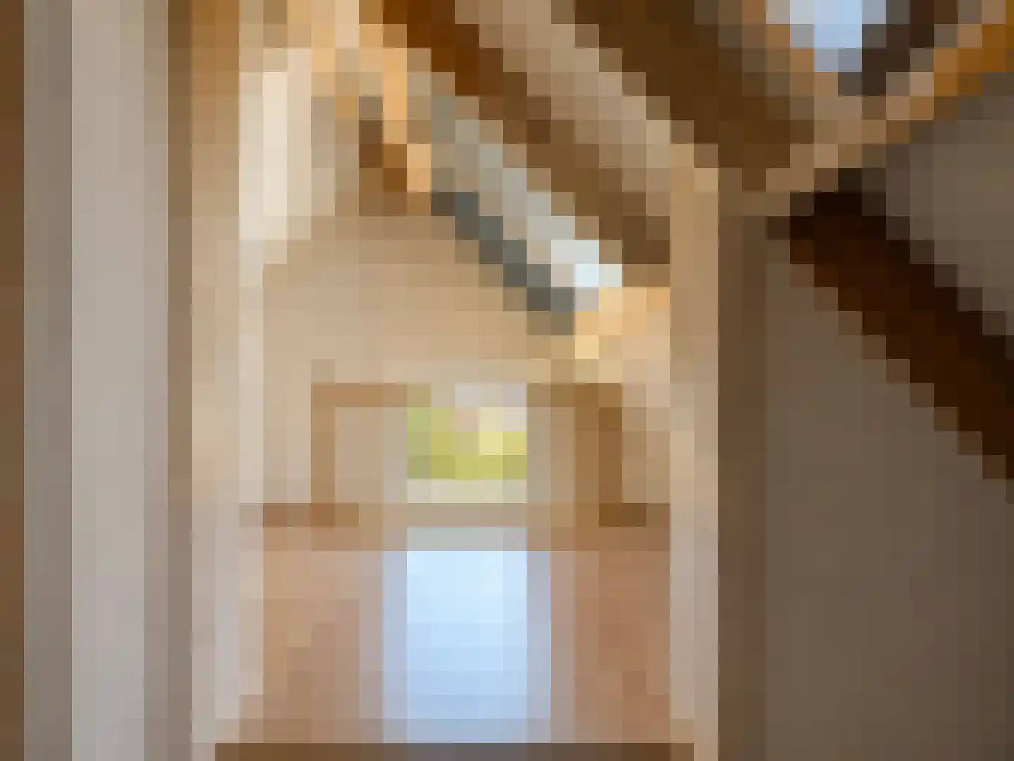 Schoutsakker 8 B Schoorl thumbnail 21