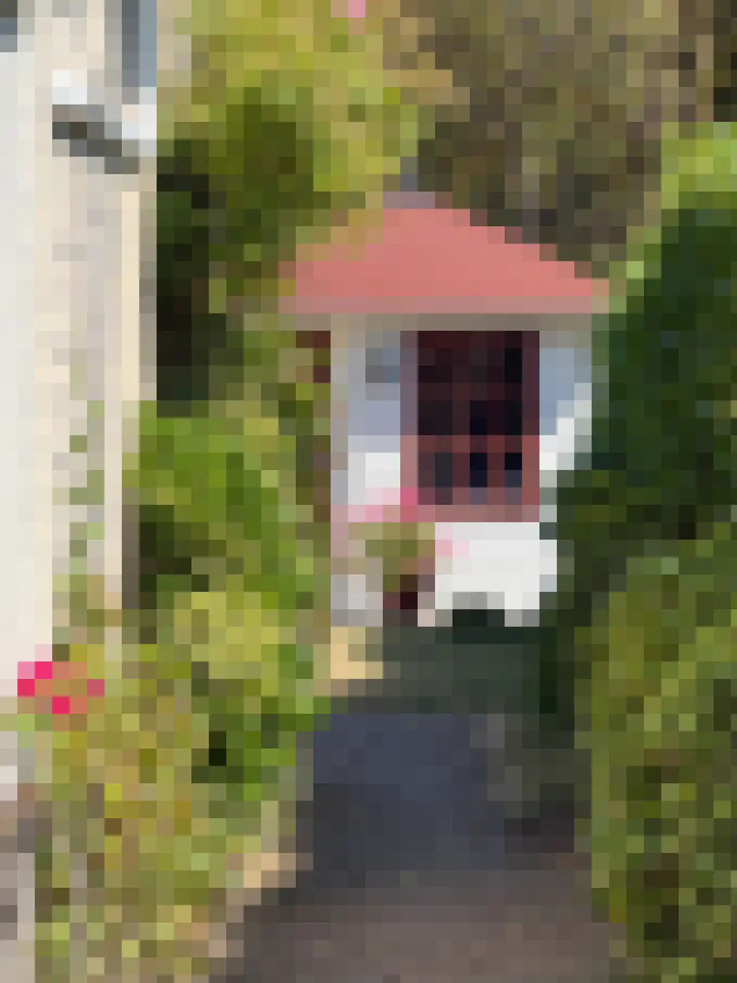 Schoutsakker 8 B Schoorl thumbnail 22
