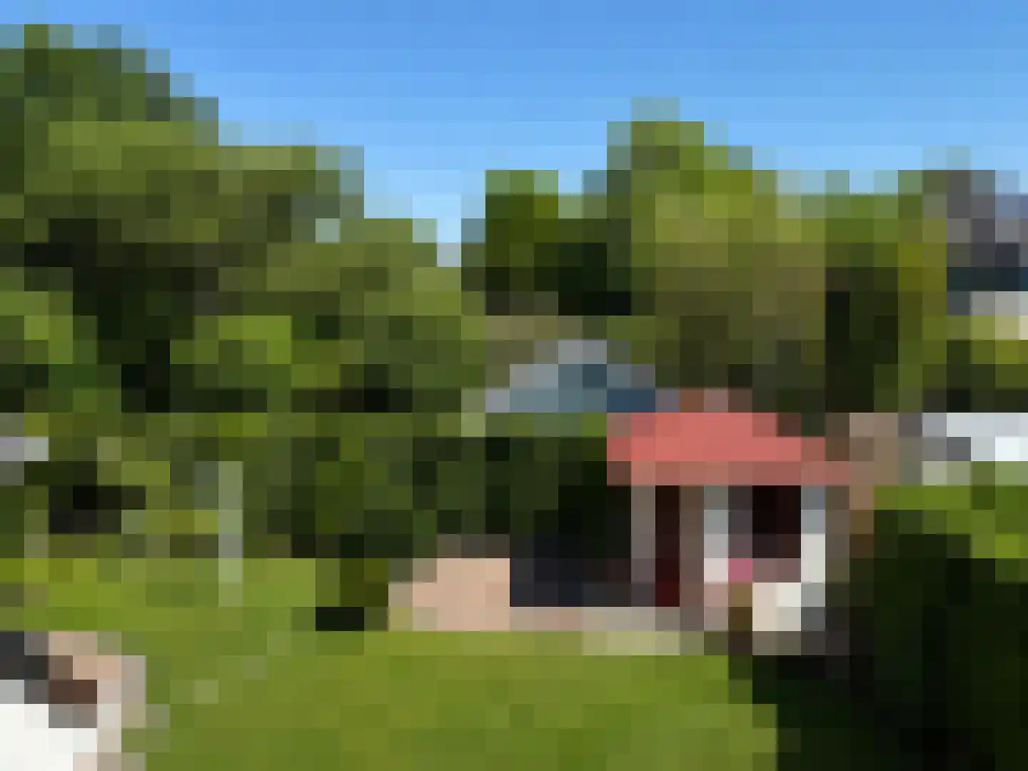 Schoutsakker 8 B Schoorl thumbnail 23