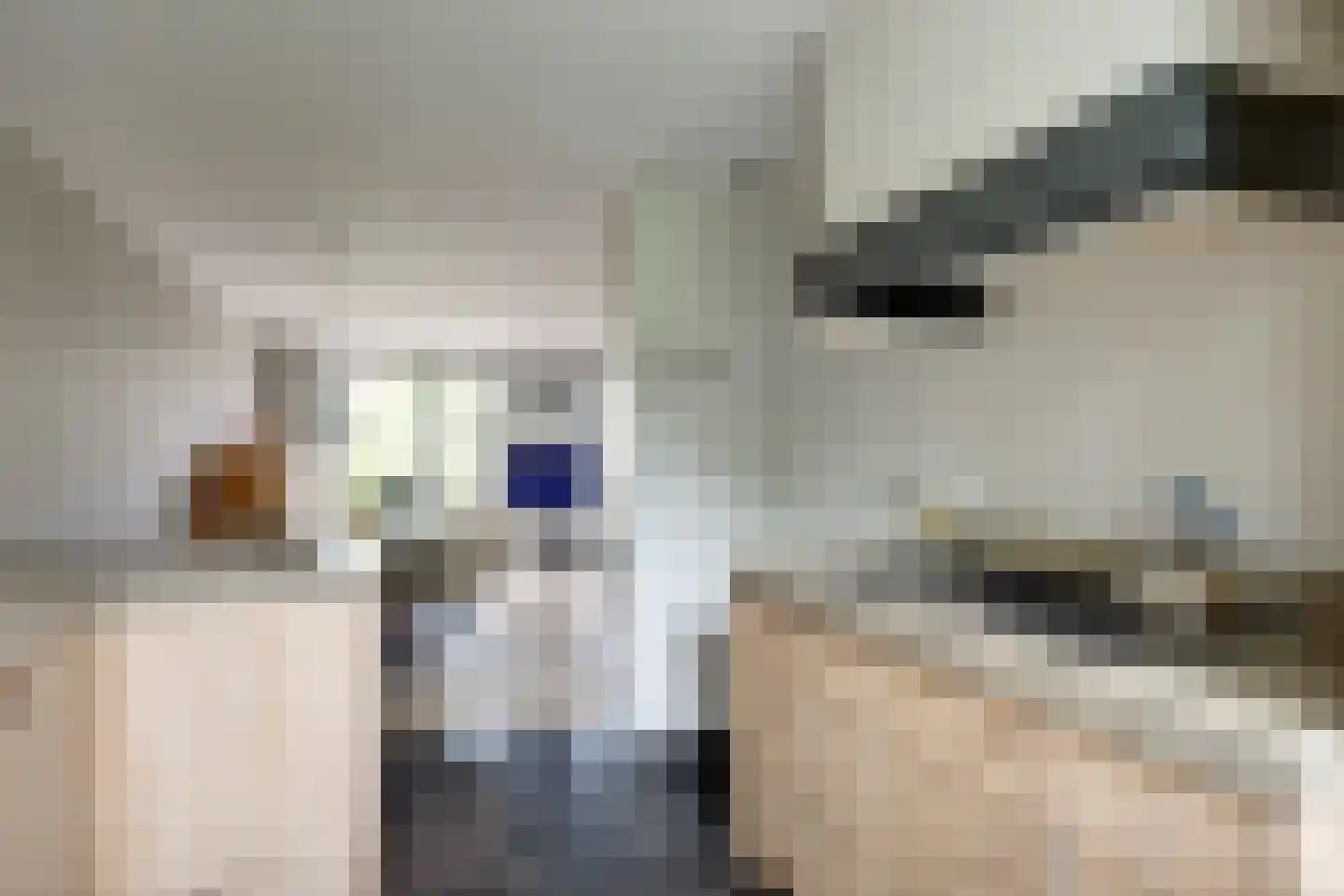 Schoutsland 10 Andijk thumbnail 12