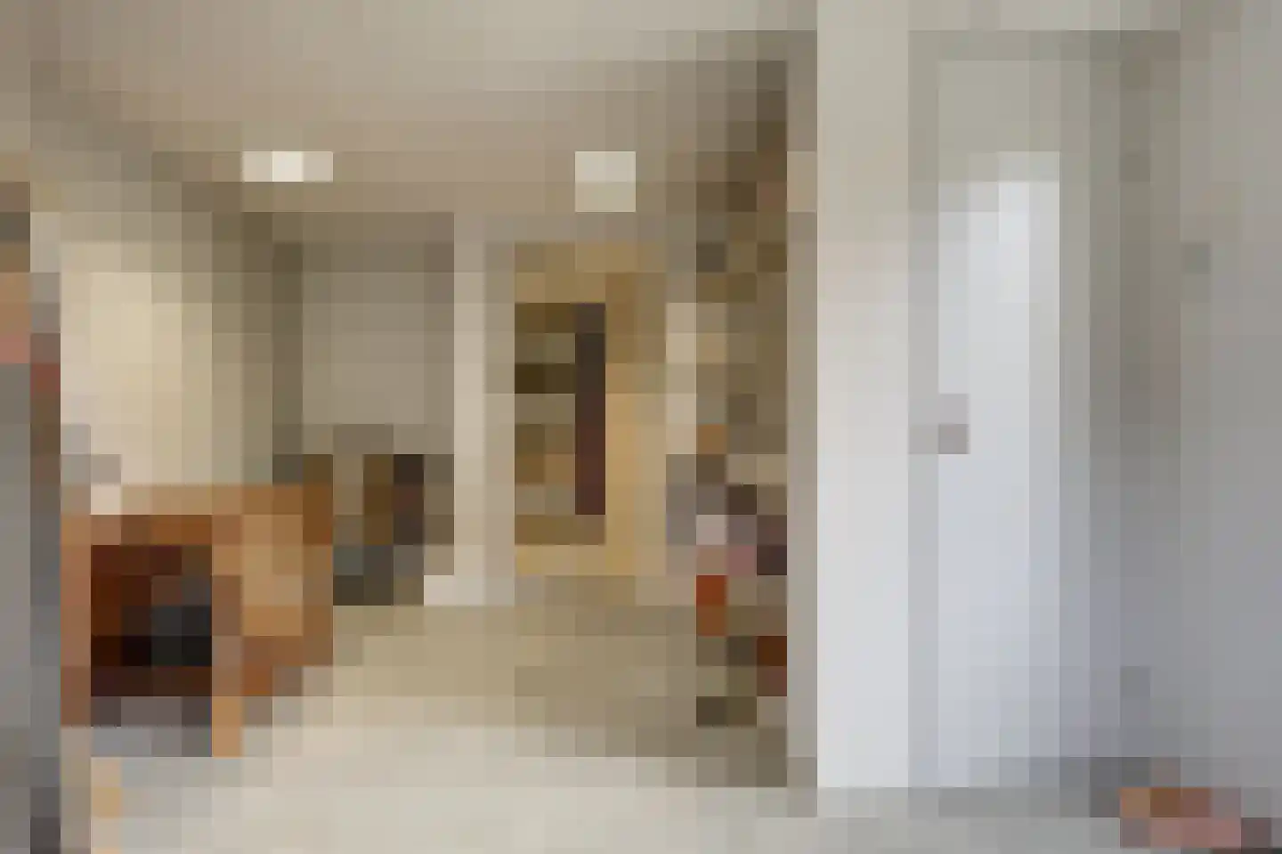 Schoutsland 10 Andijk thumbnail 14