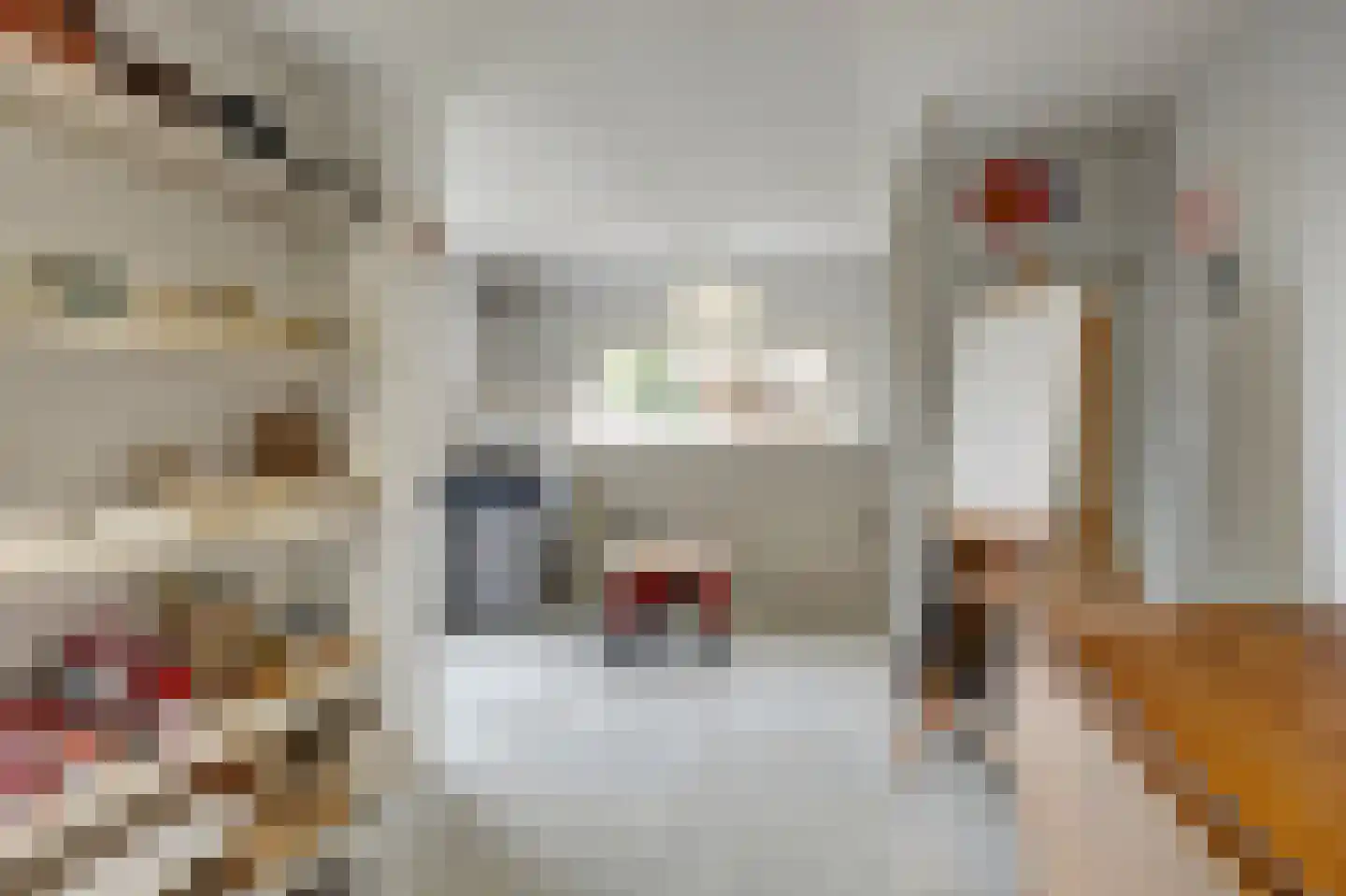 Schoutsland 10 Andijk thumbnail 15