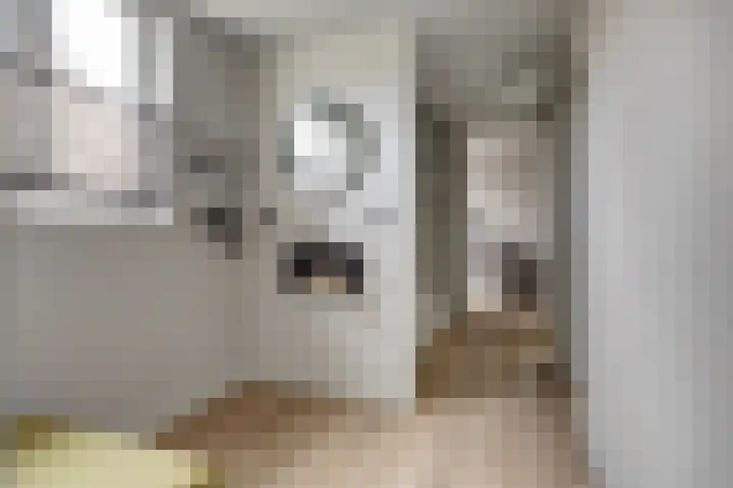 Schoutsland 10 Andijk thumbnail 19
