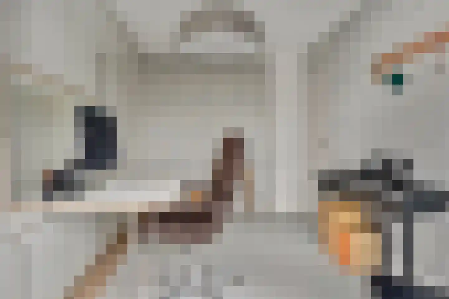 Schoutsland 10 Andijk thumbnail 23