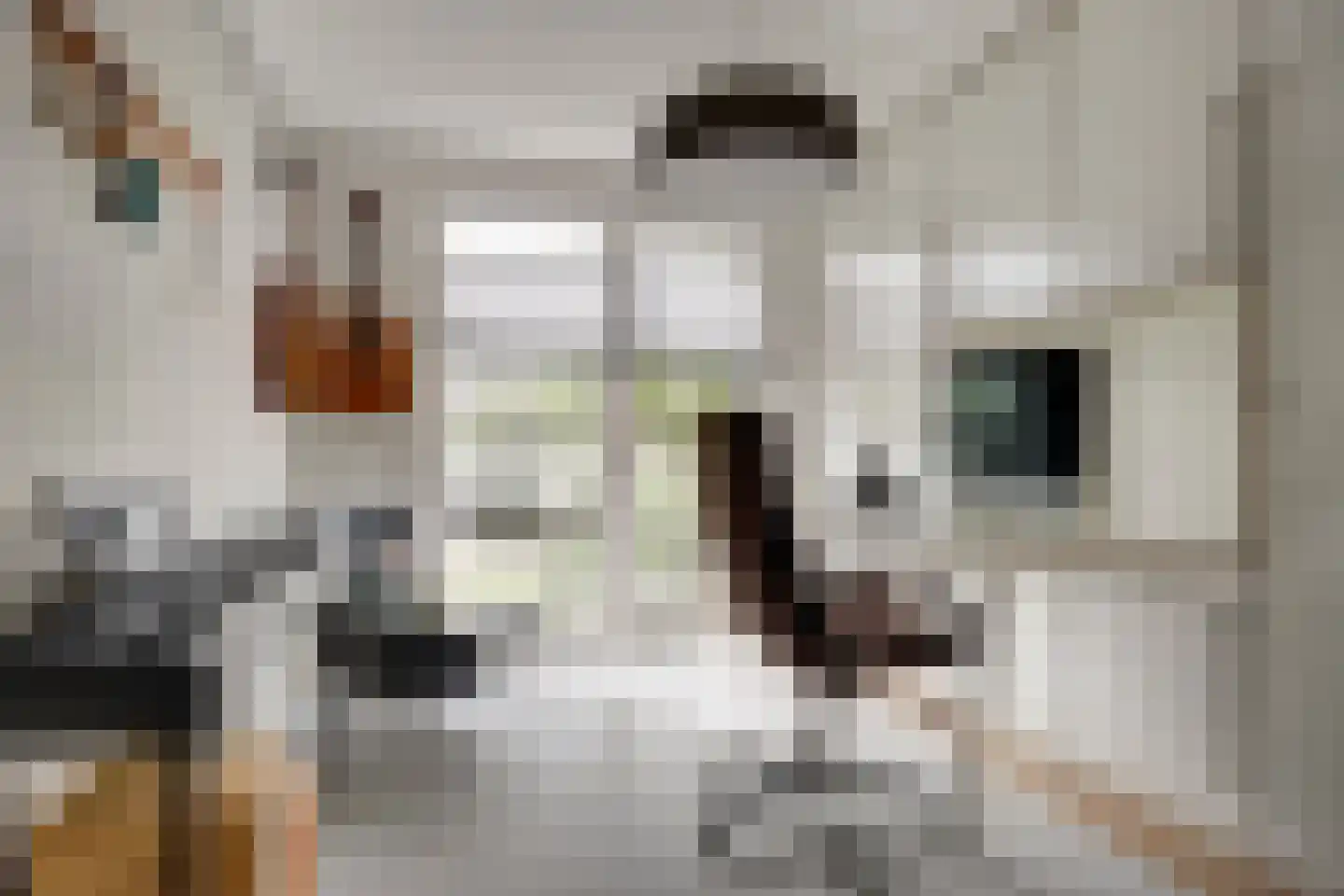 Schoutsland 10 Andijk thumbnail 24