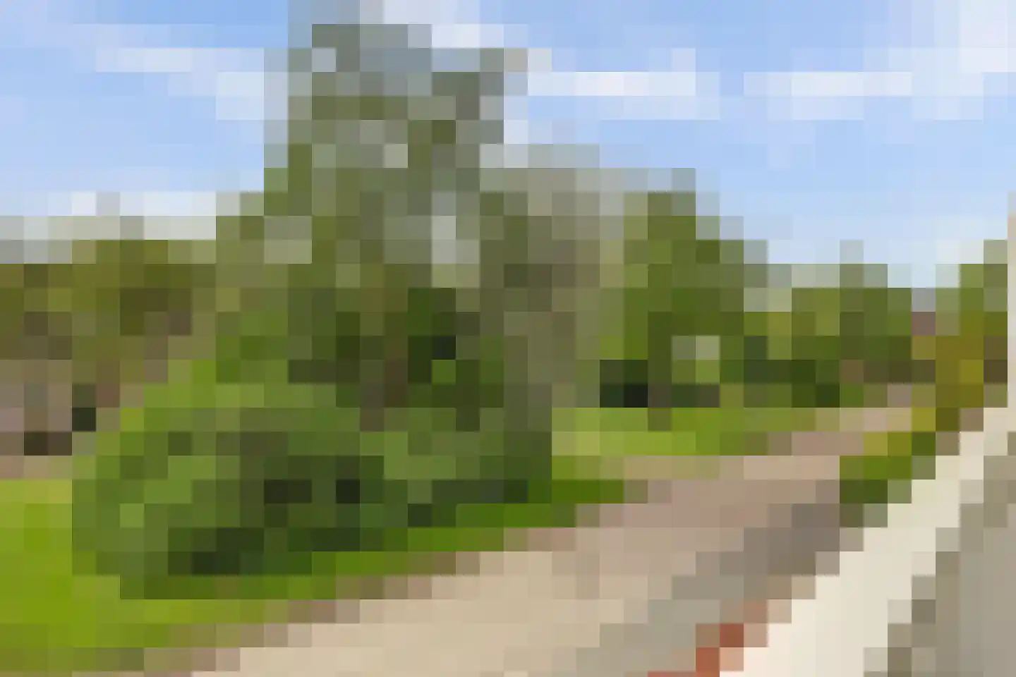 Schoutsland 10 Andijk thumbnail 26