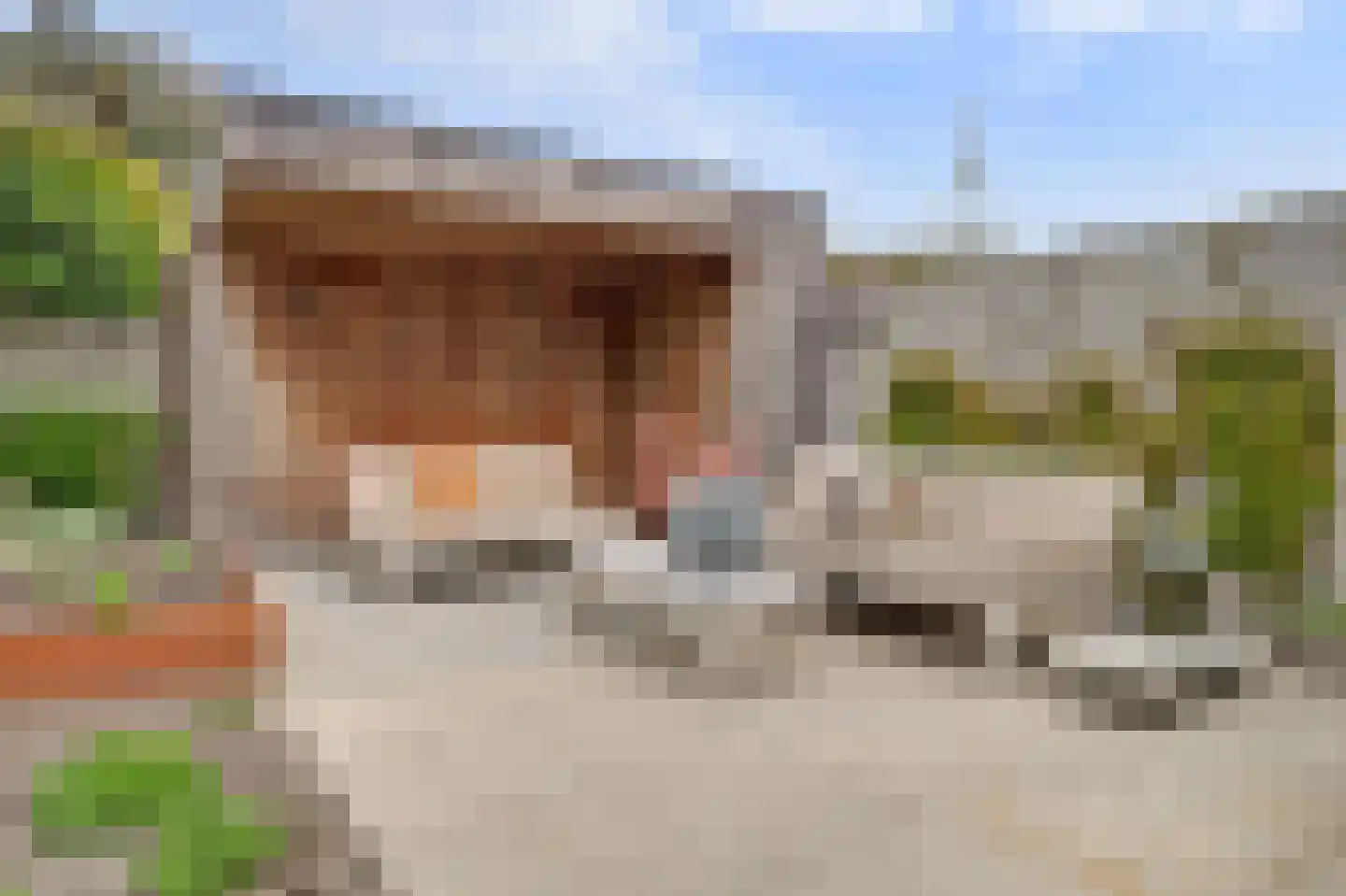 Schoutsland 10 Andijk thumbnail 34