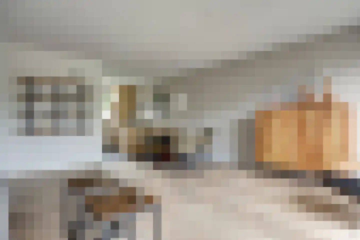 Schoutsland 10 Andijk thumbnail 8