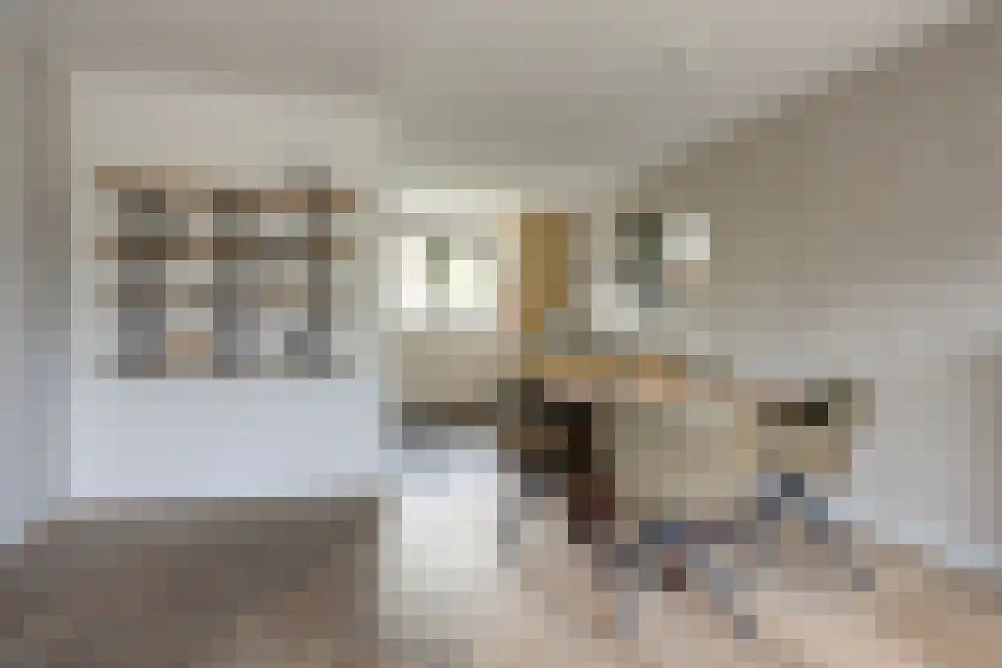 Schoutsland 10 Andijk thumbnail 9