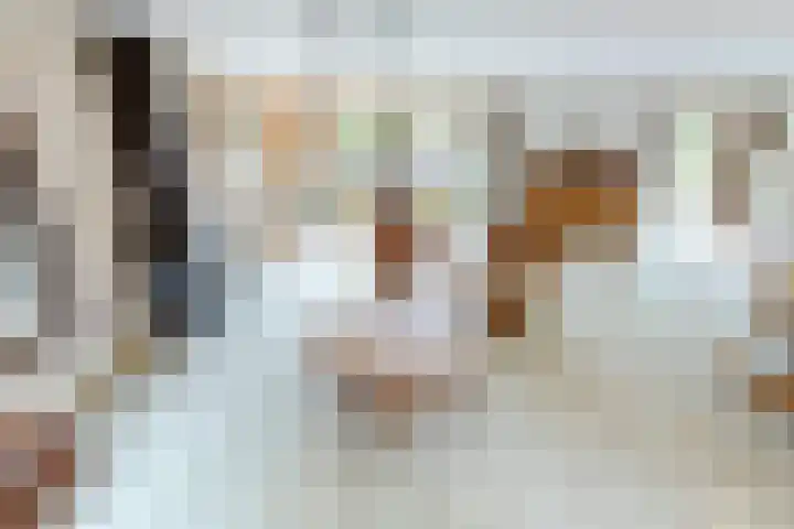 Schoutsland 11 Andijk thumbnail 10