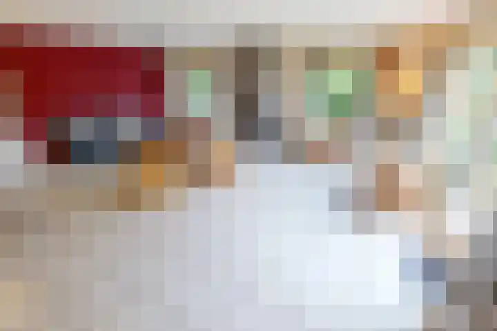 Schoutsland 11 Andijk thumbnail 15